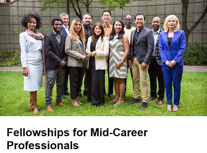 Top 10 Fellowships for Mid-Career Professionals