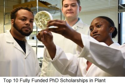 Top 10 Fully Funded PhD Scholarships in Plant Sciences