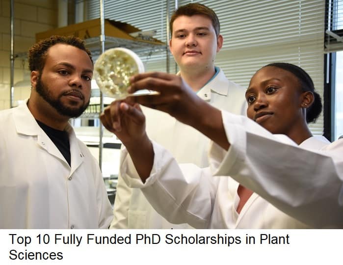 phd fully funded scholarship in plant sciences 2022