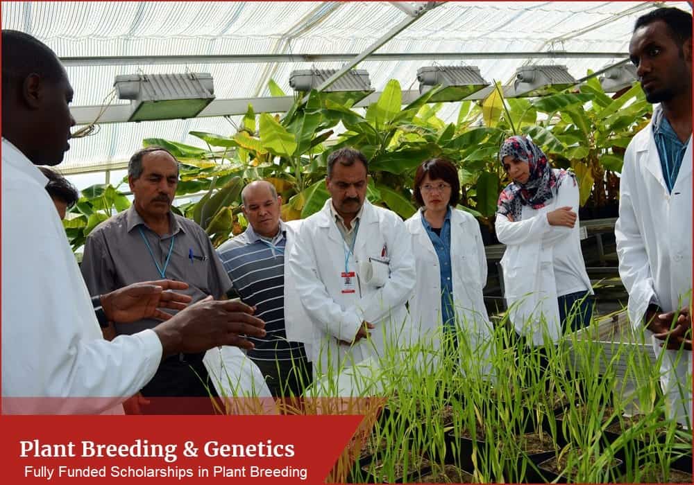 Top 10 Fully Funded Scholarships in Plant Breeding