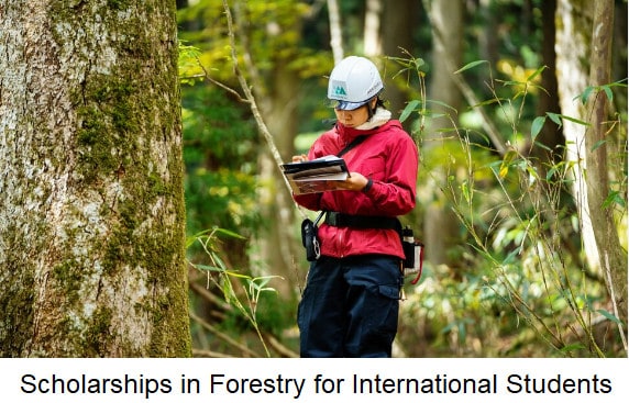 Scholarships in Forestry for International Students