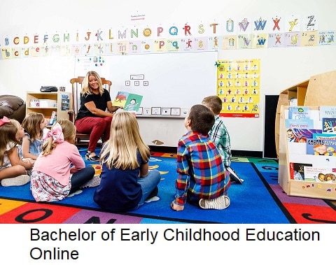 Bachelor of Early Childhood Education Online