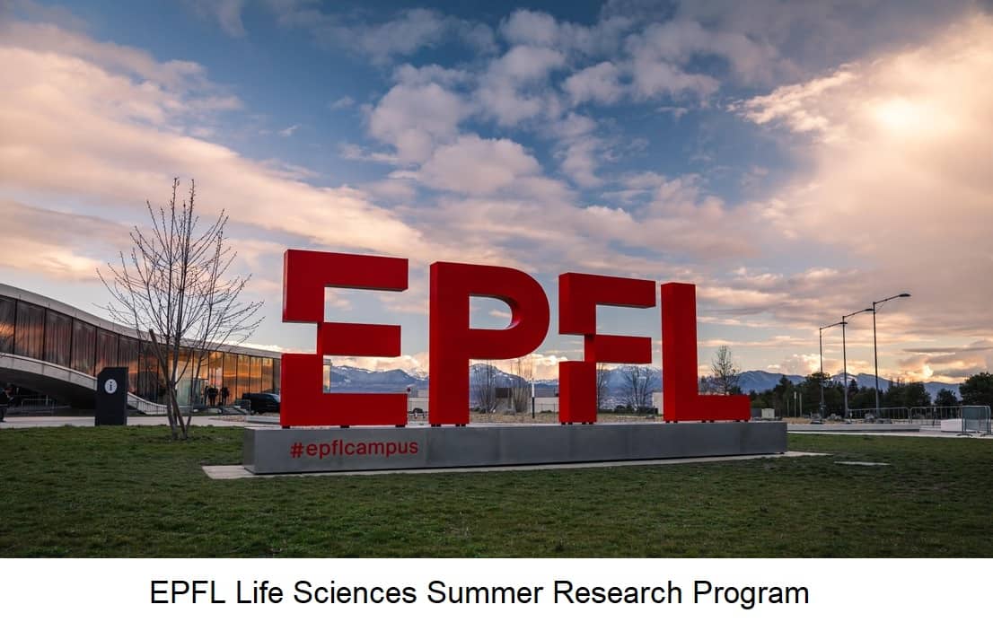 EPFL Life Sciences Summer Research Program 2024