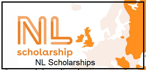 Nl scholarship for international students