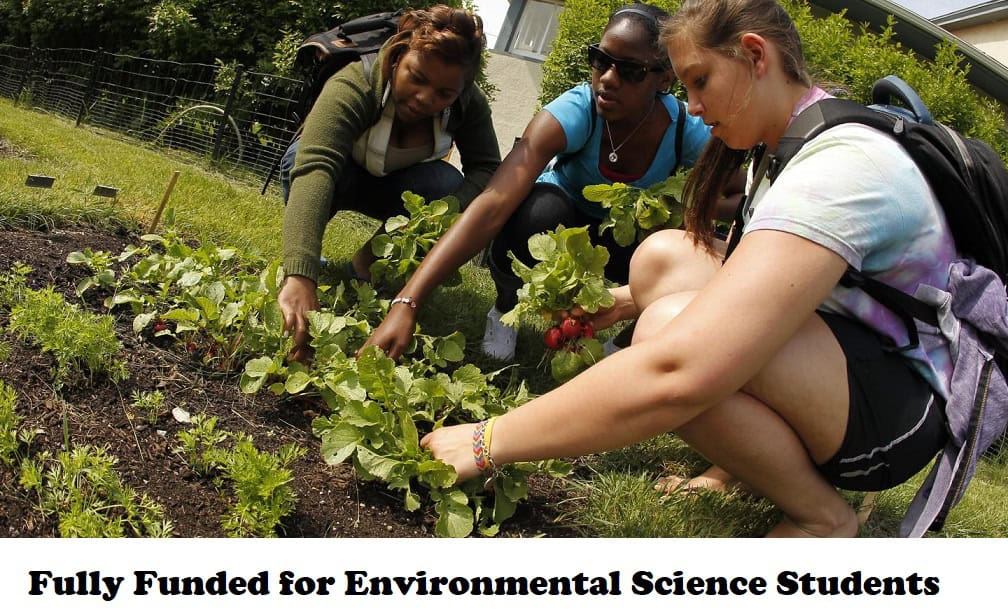 Fully Funded Scholarships for Environmental Science Students
